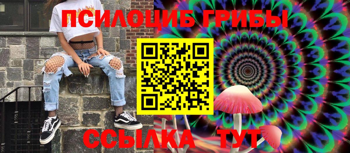 Йошкар-Ола  Псилоцибиновые грибы Psilocybe  Вход с VPN 