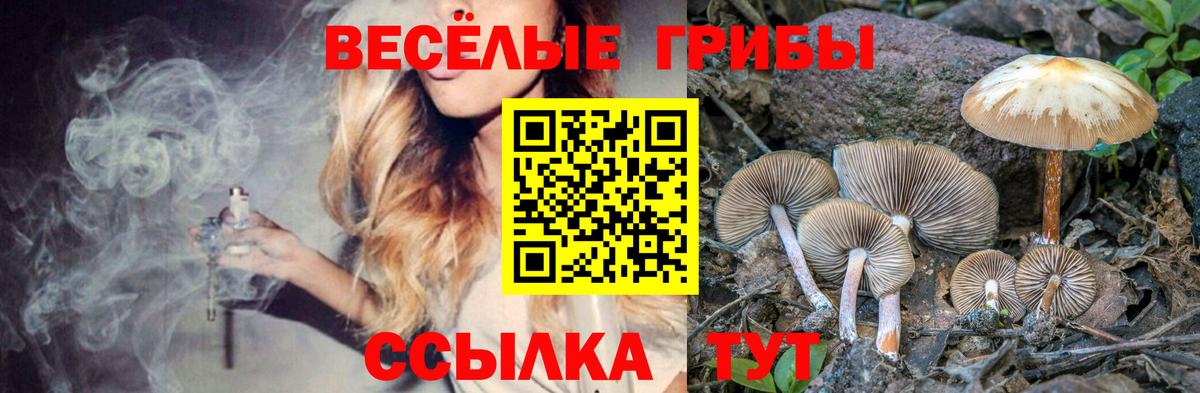 Галлюциногенные грибы ЛСД Йошкар-Ола